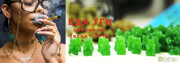 индика Вязьма